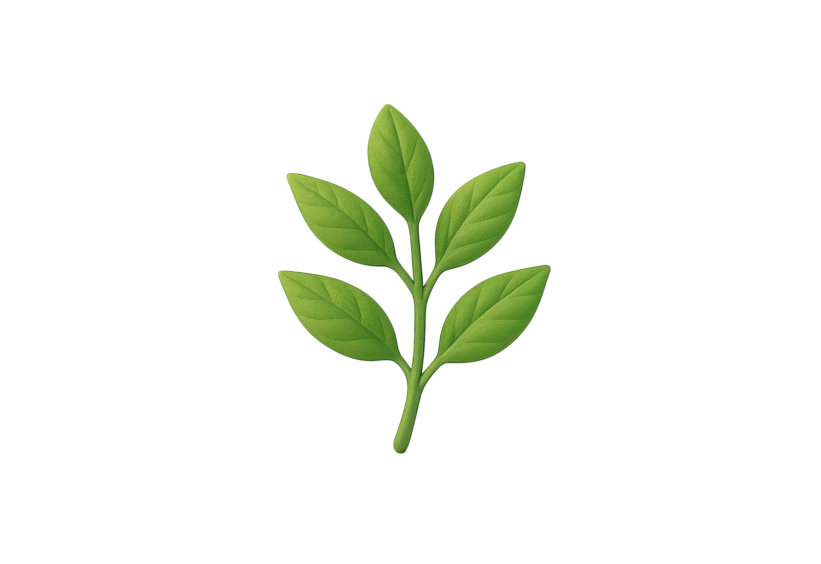 🌿 Herb 3D Emoji | Brixmoji