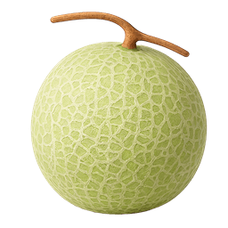 Melon