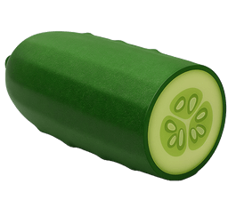 Cucumber