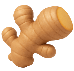 Ginger Root
