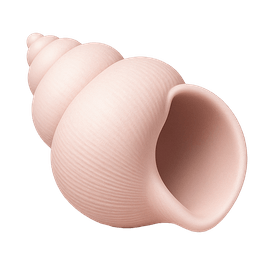 Spiral Shell
