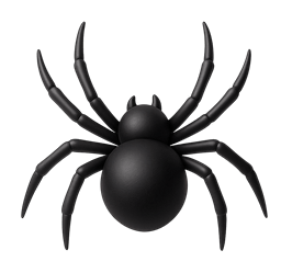Spider