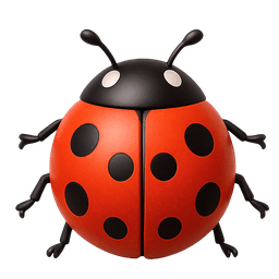 Lady Beetle