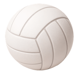 Volleyball