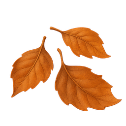 Fallen Leaf