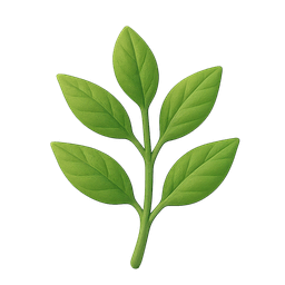 Herb