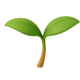 Seedling